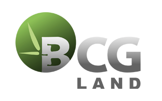 BCG