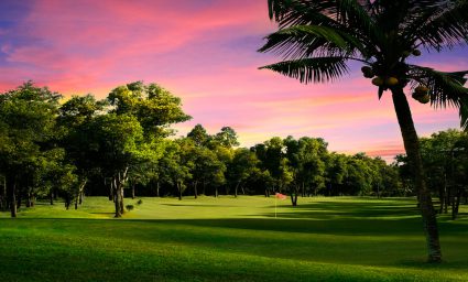 DỰ ÁN KHU CÔNG CỘNG, CÂY XANH, DỊCH VỤ NÔNG NGHIỆP, DU LỊCH, THỂ THAO